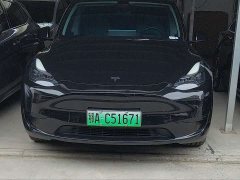Tesla Model Y Rear-Wheel Drive - ფოტო 2