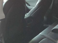 Tesla Model Y Rear-Wheel Drive - ფოტო 5