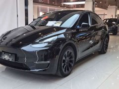 Tesla Model Y Long Range All-Wheel Drive - ფოტო 1