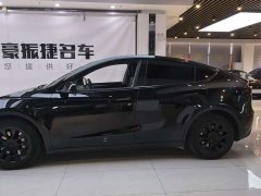 Tesla Model Y Long Range All-Wheel Drive - ფოტო 2