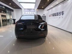Tesla Model Y Long Range All-Wheel Drive - ფოტო 6