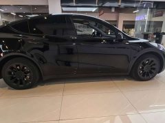 Tesla Model Y Long Range All-Wheel Drive - ფოტო 9