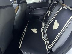 Leapmotor Leapo T03 310 Comfort Edition - photo 5