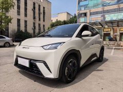 BYD Seagull Glory Edition 305km Freedom Version - ფოტო 1