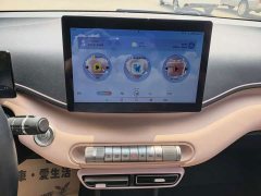 BYD Seagull Glory Edition 305km Freedom Version - ფოტო 10