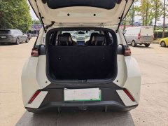 BYD Seagull Glory Edition 305km Freedom Version - ფოტო 13