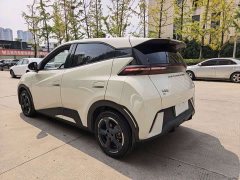 BYD Seagull Glory Edition 305km Freedom Version - ფოტო 15