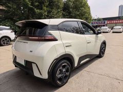 BYD Seagull Glory Edition 305km Freedom Version - ფოტო 17