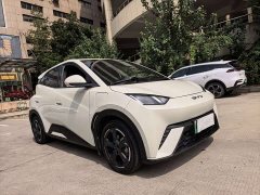 BYD Seagull Glory Edition 305km Freedom Version - ფოტო 2
