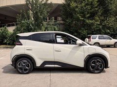 BYD Seagull Glory Edition 305km Freedom Version - ფოტო 6