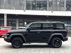 Tank 300 2021 Off-Road Edition 2.0T Conqueror - ფოტო 3