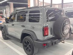 Tank 300 Off-Road Edition 2.0T Conqueror - ფოტო 15