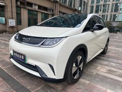 BYD Dolphin 2023 420km Fashion Edition - photo 1