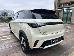 BYD Dolphin 2023 420km Fashion Edition - photo 4