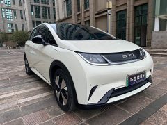 BYD Dolphin 2023 420km Fashion Edition - photo 8