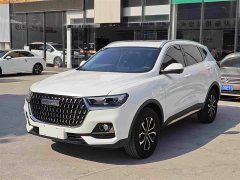 Haval H6 2023 National Trend Edition 1.5T Automatic Urban Version - ფოტო 1