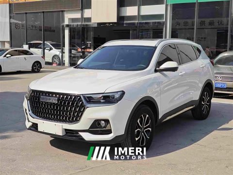 2024 Haval H6 2023 National Trend Edition 1.5T Automatic Urban Version - ავტომობილი ჩინეთიდან