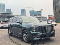 GAC Aion GS8 Dual Engine 2.0T M Two-Wheel Drive Luxury Edition (7-Seater) - ფოტო 2