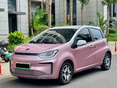 Flower Fairy Eshang Fairy 302km Luxury 30.2kWh - фото 1
