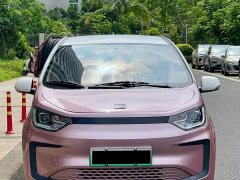 Flower Fairy Eshang Fairy 302km Luxury 30.2kWh - фото 2