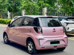 Flower Fairy Eshang Fairy 302km Luxury 30.2kWh - фото 7