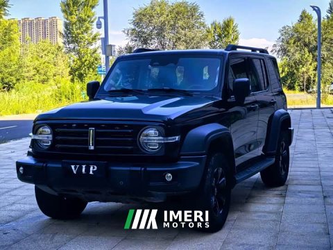 2021 Tank 300 Off-Road Edition 2.0T Challenger - ავტომობილი ჩინეთიდან