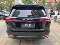 Great Wall WEY Blue Mountain 2025 Four-Wheel Drive Max - ფოტო 6