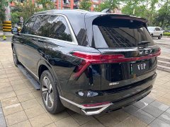 Great Wall WEY Blue Mountain 2025 Four-Wheel Drive Max - ფოტო 7