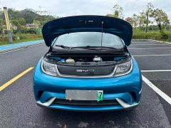 BYD Dolphin 420km Fashion Edition - ფოტო 18