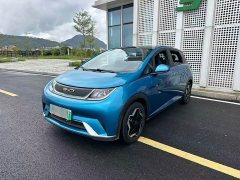 BYD Dolphin 420km Fashion Edition - ფოტო 20
