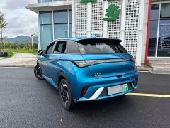 BYD Dolphin 420km Fashion Edition - ფოტო 3