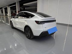 Tesla Model Y Rear-Wheel Drive - ფოტო 14