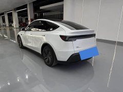 Tesla Model Y Rear-Wheel Drive - ფოტო 15
