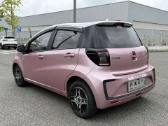 Flower Fairy Xiaoxiangzi 302km Luxury 30.2kWh - photo 5