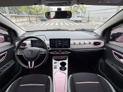 Flower Fairy Xiaoxiangzi 302km Luxury 30.2kWh - photo 9