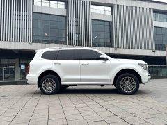 Tank 500 2022 3.0T Business Edition Landscape Trim 5-Seater - ფოტო 5