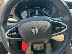 Nissan Paladin 2.0T 4WD Luxury Edition - photo 16
