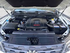 Nissan Paladin 2.0T 4WD Luxury Edition - photo 9