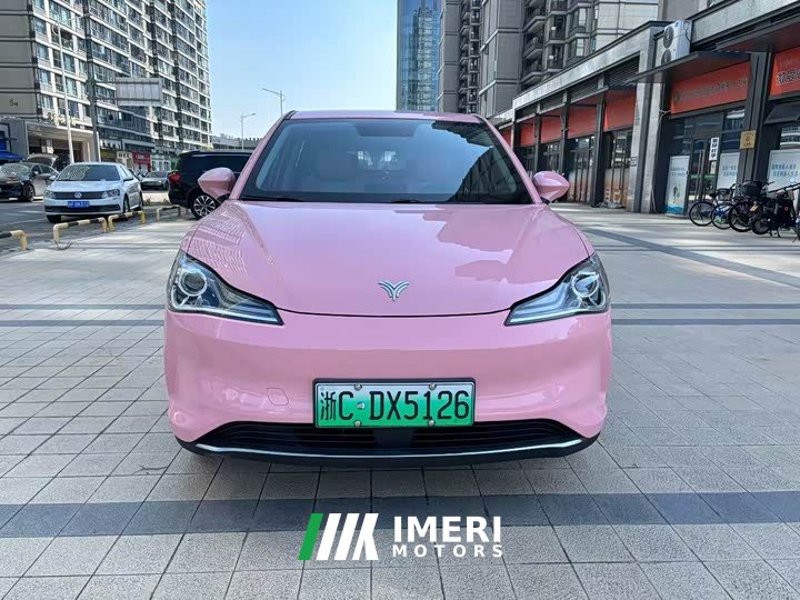 Neta V Tide 400 Lite Pink Custom Edition - ავტომობილი ჩინეთიდან