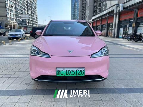 2022 Neta V Tide 400 Lite Pink Custom Edition - ავტომობილი ჩინეთიდან
