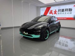 Tesla Model Y Standard Range RWD - ფოტო 1