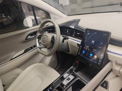 Hyundai Costar 380TGDi Smart Love Flagship TOP Premium - ფოტო 13