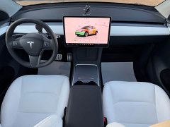 Tesla Model Y 2022 Performance All-Wheel Drive - ფოტო 18