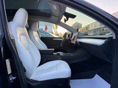 Tesla Model Y 2022 Performance All-Wheel Drive - ფოტო 19