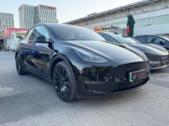 Tesla Model Y 2022 Performance All-Wheel Drive - ფოტო 3