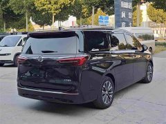 Buick GL8 ES Land Respect 653T Luxury - ფოტო 4