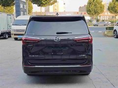 Buick GL8 ES Land Respect 653T Luxury - ფოტო 5