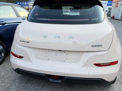 ORA Good Cat 401km Standard Range Luxury LFP - ფოტო 12