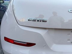 ORA Good Cat 401km Standard Range Luxury LFP - ფოტო 15