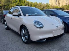 ORA Good Cat 401km Standard Range Luxury LFP - ფოტო 2